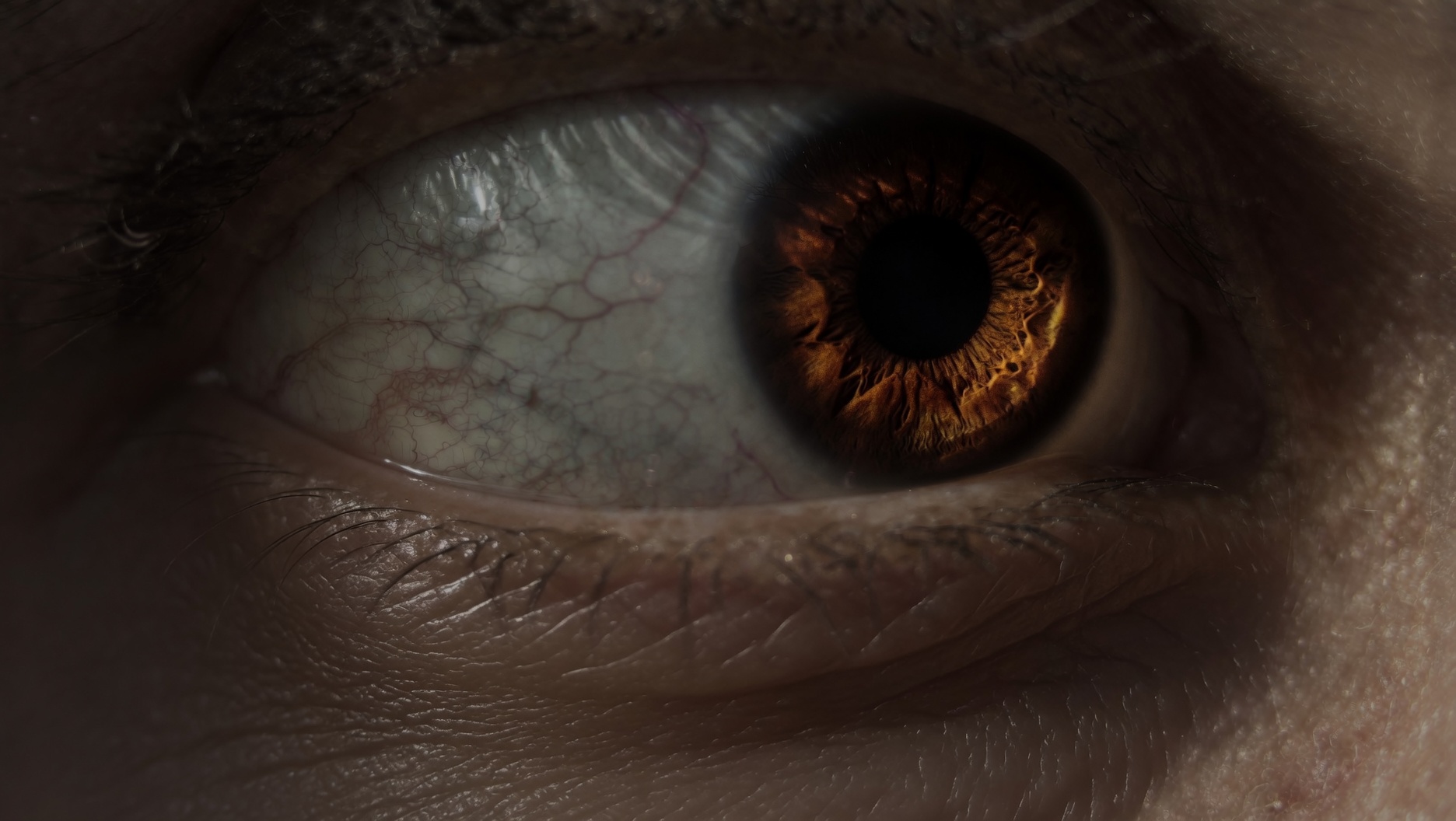 Ojo iluminado en penumbra, sin fluorescencia visible